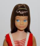 Mattel - Barbie - Barbie's Little Sister Skipper - Brunette - Poupée